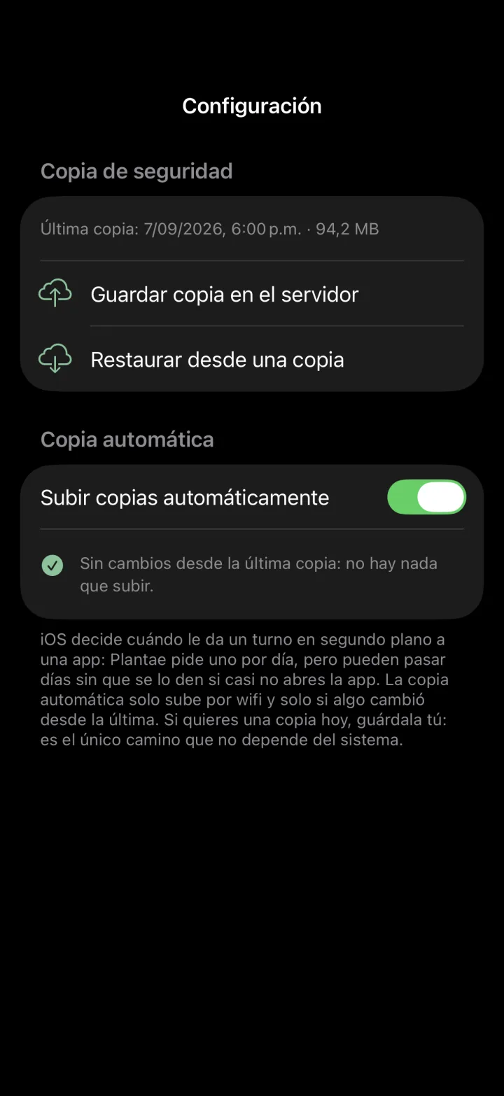 Ajustes de copia de seguridad con copia automática activada