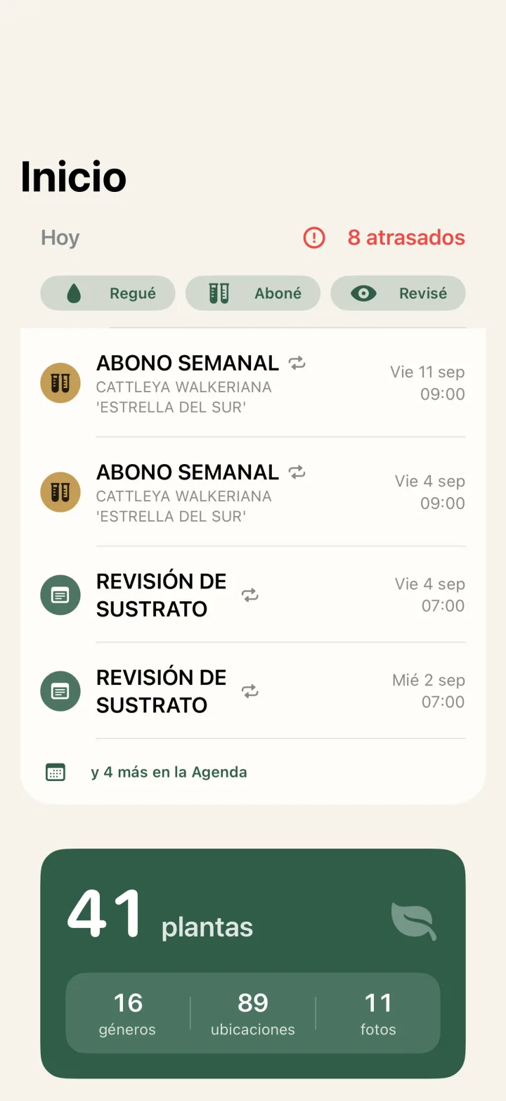 Pantalla de inicio de Plantae con los cuidados de hoy y el resumen de la colección