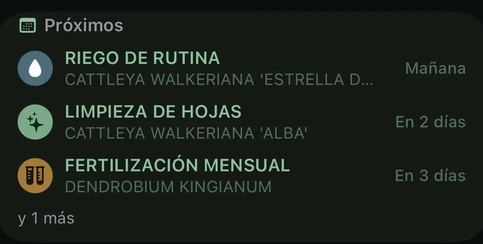 Widget con los próximos cuidados