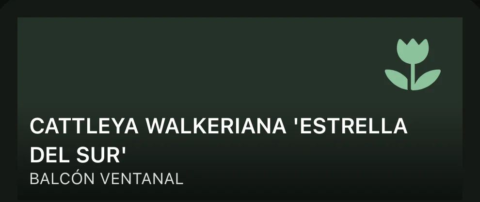 Widget con la planta del día